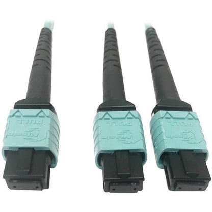 Tripp Lite by Eaton N846D-01M-24BAQ Fiber Optic Patch Network Cable - 3.3 ft (1