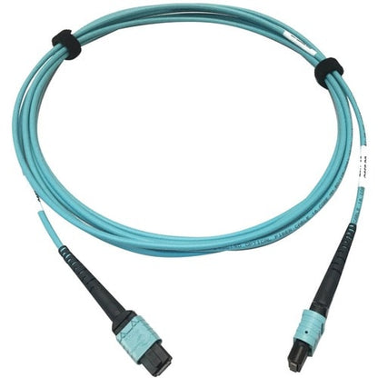 Tripp Lite by Eaton N846D-03M-24AAQ 400G Multimode 50/125 OM4 Fiber Optic Cable,