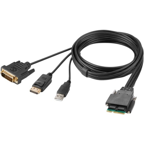 Cable host modular DVI y DP de doble cabezal de Belkin de 1,83 m (6 pies) a 6 pies (1,83 m) DisplayPort