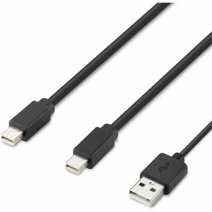 Câble hôte double tête Belkin Mini DP modulaire 1,83 m (6 pi) Mini DisplayPo