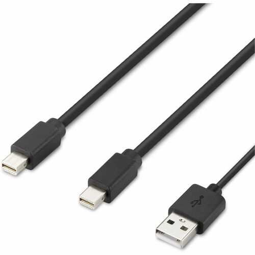Cable host modular Mini DP de doble cabezal de Belkin de 1,83 m (6 pies) a 6 pies (1,83 m) Mini DisplayPo