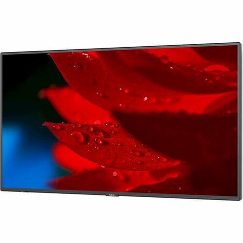 Écran professionnel NEC Display 55\" à large gamme de couleurs ultra haute définition - LCD 55\"