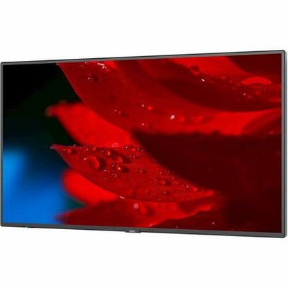 Écran professionnel NEC Display 55\" à large gamme de couleurs ultra haute définition - LCD 55\"