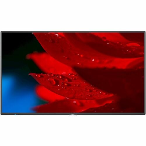 Écran professionnel NEC Display 55\" à large gamme de couleurs ultra haute définition - LCD 55\"