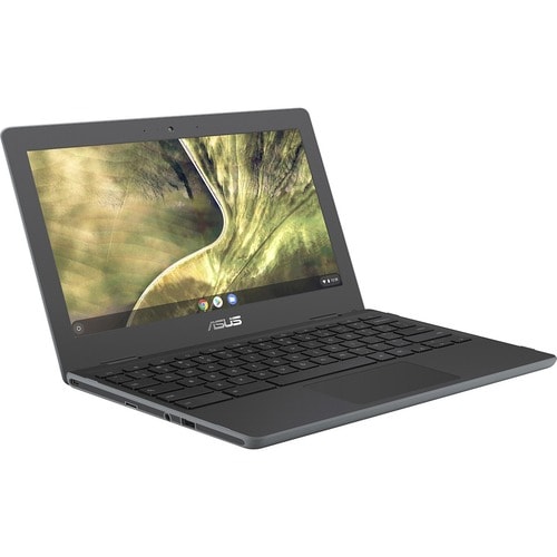 Processeur Intel Celeron N4020 de 11,6 pouces, 1,1 GHz, 4 Go, 32 Go, sans Chrome OS