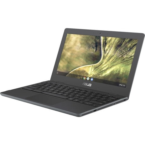 Processeur Intel Celeron N4020 de 11,6 pouces, 1,1 GHz, 4 Go, 32 Go, sans Chrome OS
