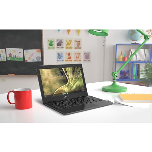 Processeur Intel Celeron N4020 de 11,6 pouces, 1,1 GHz, 4 Go, 32 Go, sans Chrome OS