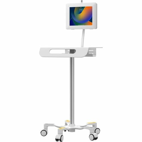 CTA Digital Medical Grade Anti