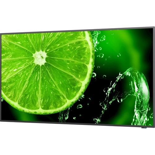 Pantalla NEC 4K UHD de 65" con sintonizador ATSC/NTSC integrado - LCD de 65" (1651 mm)