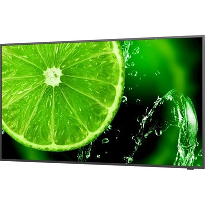 Pantalla NEC 4K UHD de 65" con sintonizador ATSC/NTSC integrado - LCD de 65" (1651 mm)
