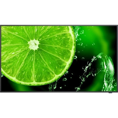 Pantalla NEC 4K UHD de 65" con sintonizador ATSC/NTSC integrado - LCD de 65" (1651 mm)