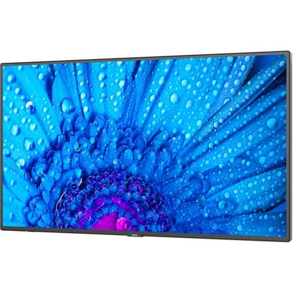 NEC Display 43\" Ultra High Definition Professional Display - 43\" (1092.20 mm) LCD