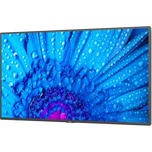 NEC Display 43\" Ultra High Definition Professional Display - 43\" (1092.20 mm) LCD