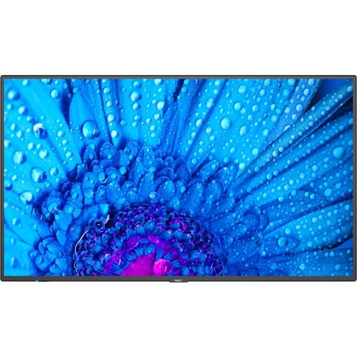 NEC Display 43\" Ultra High Definition Professional Display - 43\" (1092.20 mm) LCD