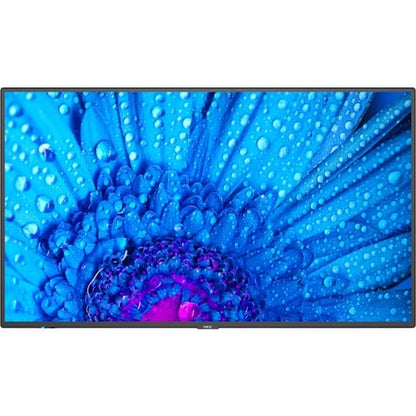 NEC Display 43\" Ultra High Definition Professional Display - 43\" (1092.20 mm) LCD