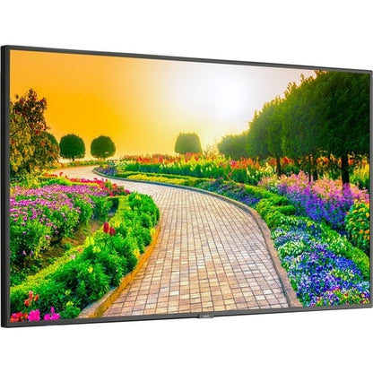 NEC Display 43\" Ultra High Definition Professional Display - 43\" (1092.20 mm) LCD