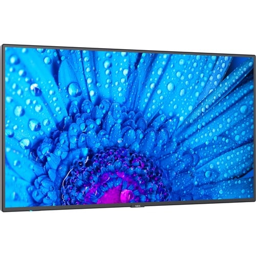NEC Display 43\" Ultra High Definition Professional Display - 43\" (1092.20 mm) LCD