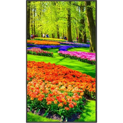 NEC Display 43\" Ultra High Definition Professional Display - 43\" (1092.20 mm) LCD