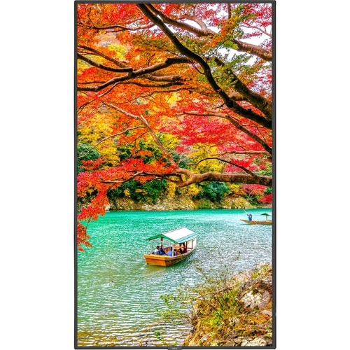 Pantalla NEC de 43" con amplia gama de colores, ultraalta definición, profesional