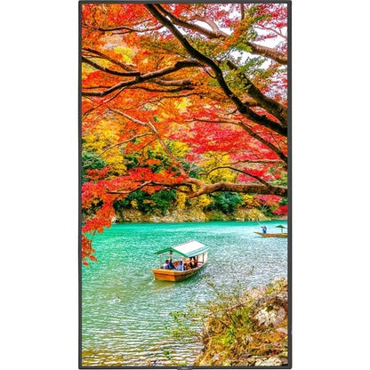 Pantalla NEC de 43" con amplia gama de colores, ultraalta definición, profesional
