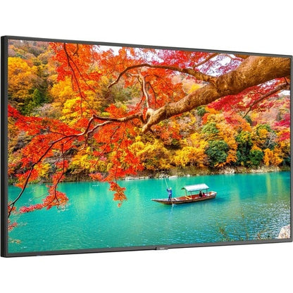 Pantalla NEC de 43" con amplia gama de colores, ultraalta definición, profesional