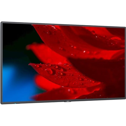 Écran NEC 49\" à large gamme de couleurs ultra haute définition professionnelle