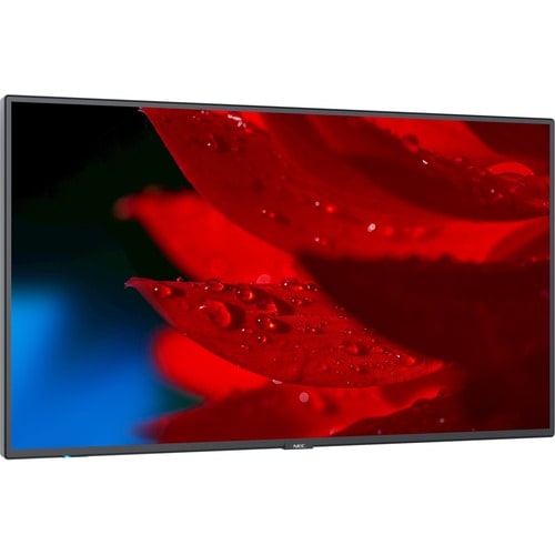 Écran NEC 49\" à large gamme de couleurs ultra haute définition professionnelle