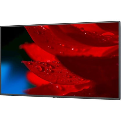 Écran NEC 49\" à large gamme de couleurs ultra haute définition professionnelle