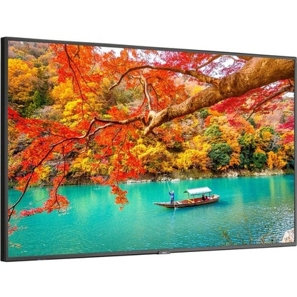 Écran NEC 49\" à large gamme de couleurs ultra haute définition professionnelle