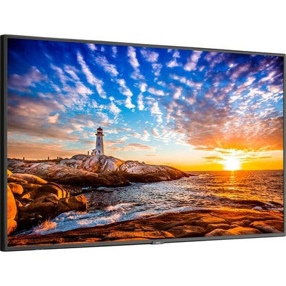 Pantalla Sharp NEC de 55" con amplia gama de colores, ultraalta definición profesional