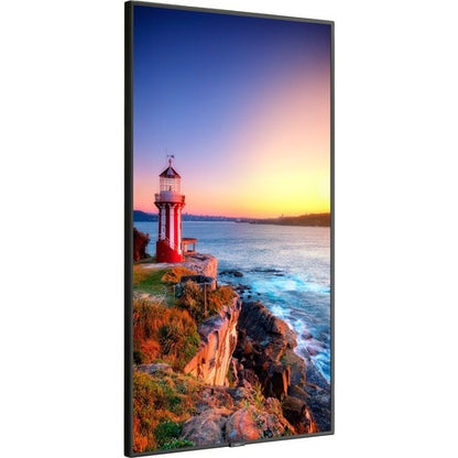 Pantalla Sharp NEC de 55" con amplia gama de colores, ultraalta definición profesional
