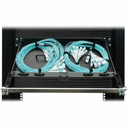 Panneau de fibres préchargé Tripp Lite by Eaton N48M-2L24L-10 - 24 x Duplex - Hauteur 1U