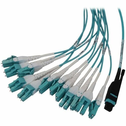 Panel de fibra precargado Tripp Lite by Eaton N48M-2M24L12-10 - 12 x dúplex - 1U de alto - Aqua,