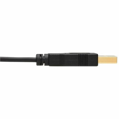 Tripp Lite de Eaton P567