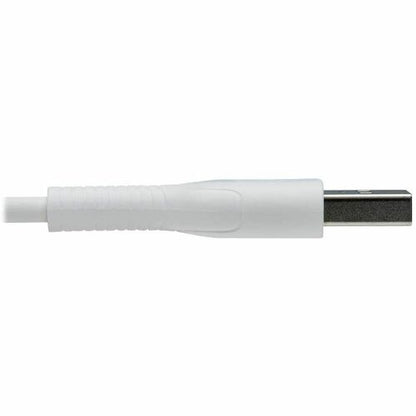 Tripp Lite de Eaton Safe-IT M100AB-01M