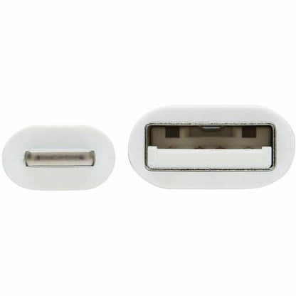 Tripp Lite de Eaton Safe-IT M100AB-01M