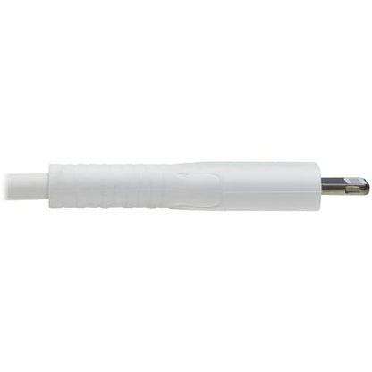 Tripp Lite de Eaton Safe-IT M102AB-01M