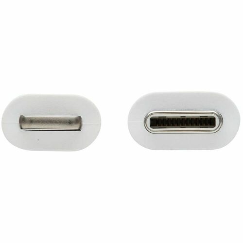 Tripp Lite par Eaton Safe-IT M102AB-02M
