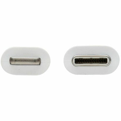 Tripp Lite par Eaton Safe-IT M102AB-02M