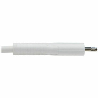 Tripp Lite par Eaton Safe-IT M102AB-02M