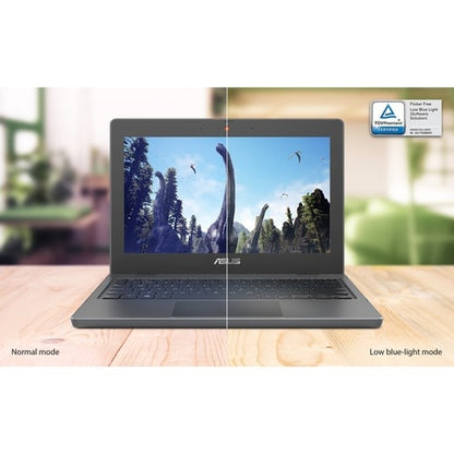 Asus BR1100C BR1100CKA-QES1-CB 11.6\" (294.64 mm) Netbook - HD