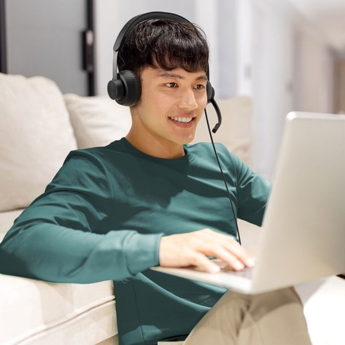 Logitech Zone 750 Wired On