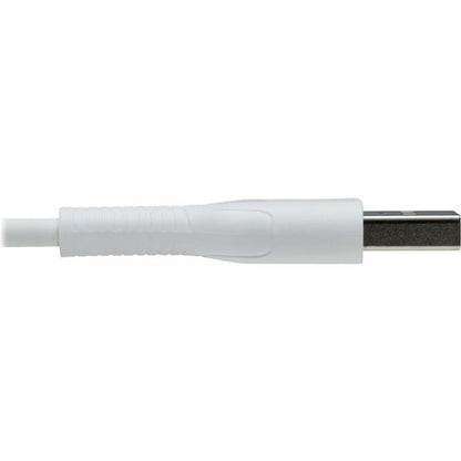 Tripp Lite de Eaton Safe-IT M100AB-03M