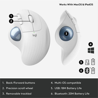 ERGO M575 PARA EMPRESAS GRAFITO