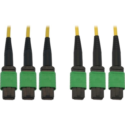 Tripp Lite by Eaton N392B-10M-3X8AP Fiber Optic Trunk Network Cable - 32.8 ft (1