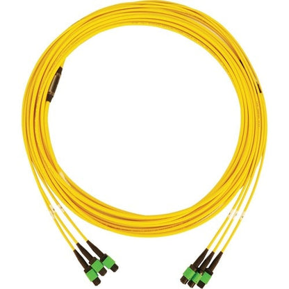Cable de red troncal de fibra óptica N392B-10M-3X8AP de Tripp Lite by Eaton - 32,8 pies (1