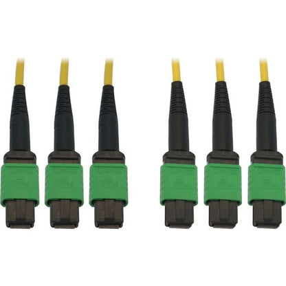 Cable de red troncal de fibra óptica N392B-10M-3X8AP de Tripp Lite by Eaton - 32,8 pies (1