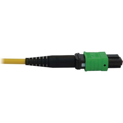 Câble réseau à fibre optique Tripp Lite par Eaton N392B-10M-3X8AP - 32,8 pi (1