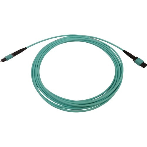Tripp Lite by Eaton N842B