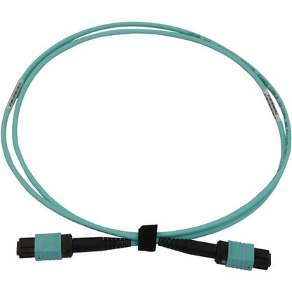 Tripp Lite by Eaton N844B-01M-12-P Fiber Optic Network Cable - 3.3 ft (1 m) Fibe